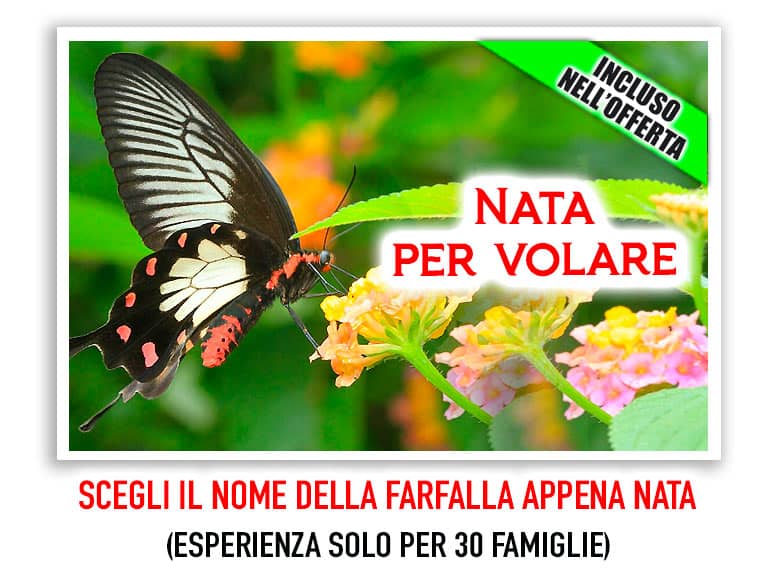 Butterfly House of Collodi