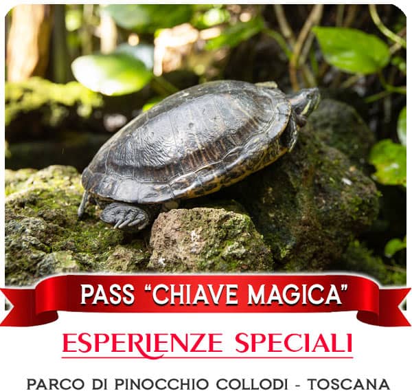 Parco di Pinocchio Esperienze Speciali Chiave Magica